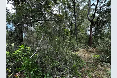0000 NE 155th Court, Williston, FL 32696 - Photo 10