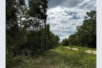0000 NE 155th Court, Williston, FL 32696 - Photo 4
