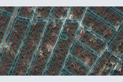 0000 NE 155th Court, Williston, FL 32696 - Photo 1