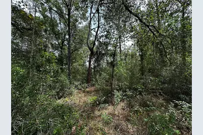 0000 NE 155th Court, Williston, FL 32696 - Photo 8
