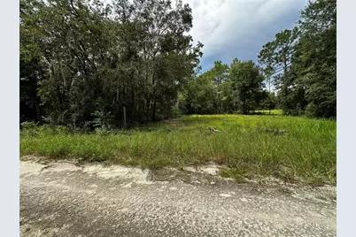 0000 NE 155th Court, Williston, FL 32696 - Photo 14