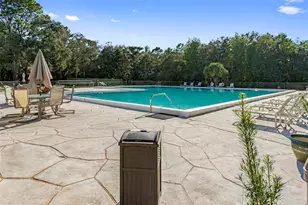 14 Redbay Ct E, Homosassa, FL 34446 - Photo 60