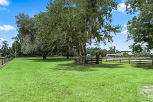 450 SW 125th Ave, Ocala, FL 34481 - Photo 54