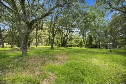 14200 NE 165th Street, Fort Mc Coy, FL 32134 - Photo 6