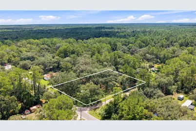 14200 NE 165th Street, Fort Mc Coy, FL 32134 - Photo 22