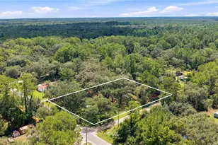 14200 NE 165th St, Fort Mc Coy, FL 32134 - Photo 22