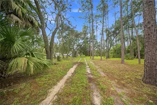 15470 NE Hwy 314, Silver Springs, FL 34488 - Photo 16