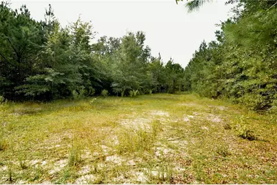 00 Old Federal Road, Quincy, FL 32351 - Photo 8