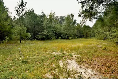 00 Old Federal Road, Quincy, FL 32351 - Photo 30