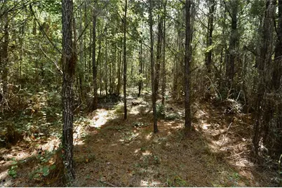 00 Old Federal Road, Quincy, FL 32351 - Photo 36
