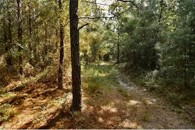 00 Old Federal Road, Quincy, FL 32351 - Photo 42