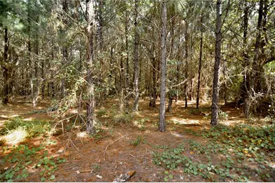 00 Old Federal Road, Quincy, FL 32351 - Photo 54
