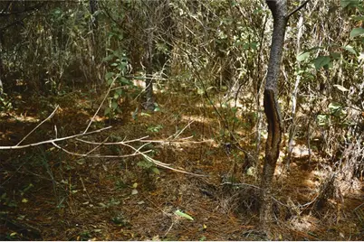 00 Old Federal Road, Quincy, FL 32351 - Photo 22