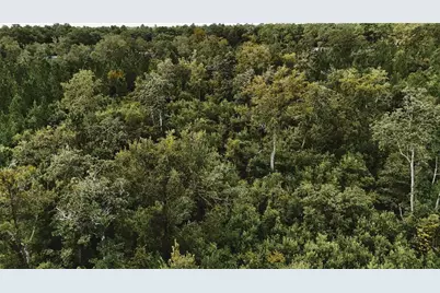 00 Old Federal Road, Quincy, FL 32351 - Photo 72