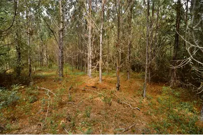 00 Old Federal Road, Quincy, FL 32351 - Photo 48