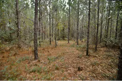 00 Old Federal Road, Quincy, FL 32351 - Photo 50