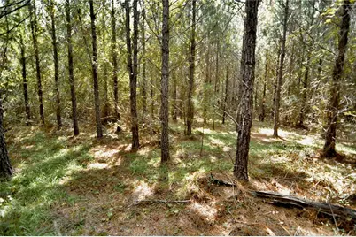 00 Old Federal Road, Quincy, FL 32351 - Photo 18
