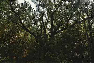 00 Old Federal Road, Quincy, FL 32351 - Photo 44