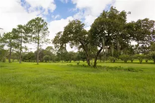 [Address not provided], Williston, FL 32696 - Photo 6
