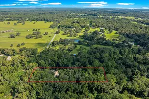 12577 SE 36 Ave, Belleview, FL 34420 - Photo 46