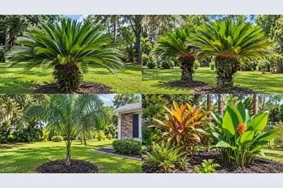 9282 SW 109th Lane, Ocala, FL 34481 - Photo 74