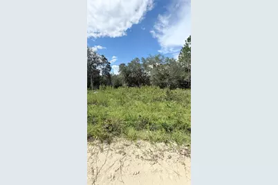 Ne 65th Street, Williston, FL 32696 - Photo 4