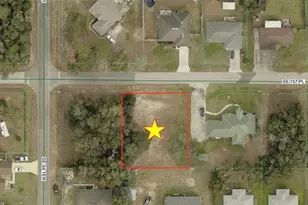 SE 157th Pl, Summerfield, FL 34491 - Photo 1