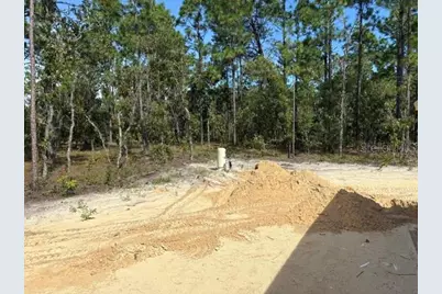 8642 SW 128th Terrace, Dunnellon, FL 34432 - Photo 8
