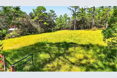 4295 N Bridger Drive, Beverly Hills, FL 34465 - Photo 46