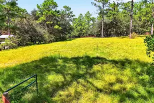 4295 N Bridger Dr, Beverly Hills, FL 34465 - Photo 46