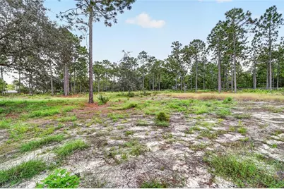 4295 N Bridger Drive, Beverly Hills, FL 34465 - Photo 48