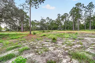 4295 N Bridger Dr, Beverly Hills, FL 34465 - Photo 48