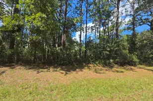 00 SW 81st Terrace, Ocala, FL 34473 - Photo 1