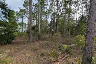 640 W Heronsbill Ln, Citrus Springs, FL 34434 - Photo 1