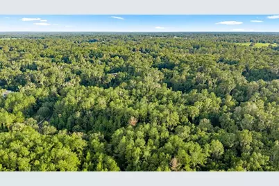 Tbd SW 38 Street, Ocala, FL 34471 - Photo 14