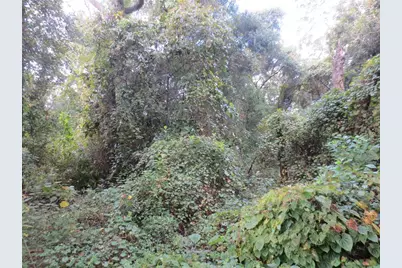 0 NE 174th Court, Silver Springs, FL 34488 - Photo 2