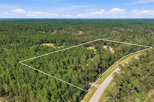 4559 W Dunklin St, Dunnellon, FL 34433 - Photo 4