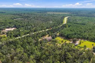 4559 W Dunklin St, Dunnellon, FL 34433 - Photo 50