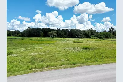 Tbd SE 37th Avenue, Belleview, FL 34420 - Photo 12