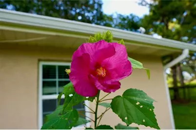 11690 NW 160th Street, Reddick, FL 32686 - Photo 54