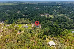 12343 SW 95th Pl, Dunnellon, FL 34432 - Photo 44