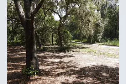 12214 SE 112th Avenue Road, Belleview, FL 34420 - Photo 8
