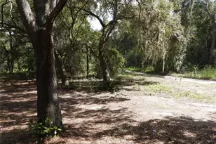 12214 SE 112th Avenue Rd, Belleview, FL 34420 - Photo 8