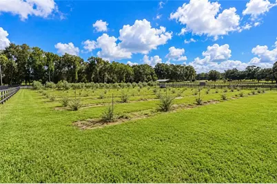 1725 SE 47th Avenue, Ocala, FL 34471 - Photo 80
