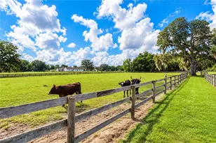 1725 SE 47th Ave, Ocala, FL 34471 - Photo 88