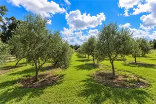 1725 SE 47th Ave, Ocala, FL 34471 - Photo 82