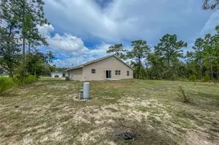 15316 Scaup Duck Ave, Weeki Wachee, FL 34614 - Photo 22