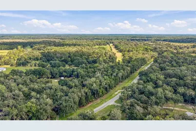 E Hwy 316, Citra, FL 32113 - Photo 6