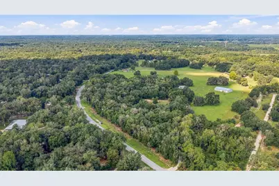 E Hwy 316, Citra, FL 32113 - Photo 2