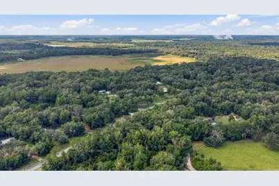 E Hwy 316, Citra, FL 32113 - Photo 8